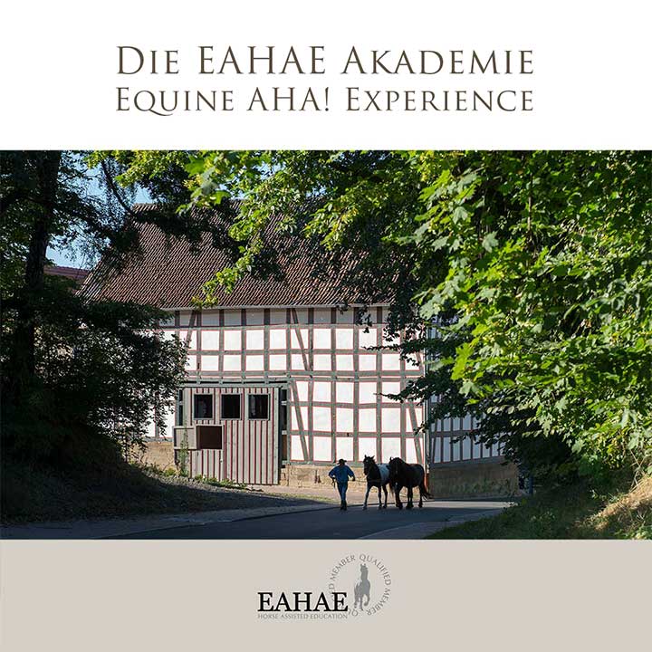 Die EAHAE Akademie: Einzeltraining