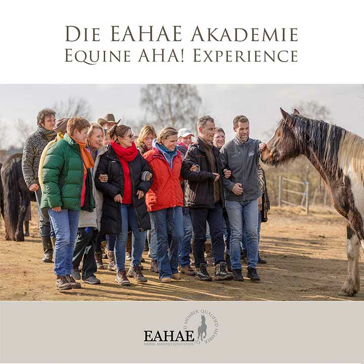 Die EAHAE Akademie: Großgruppen-Events